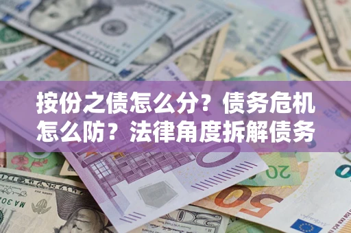 武汉按份之债怎么分？债务危机怎么防？法律角度拆解债务分配与风险自保指南