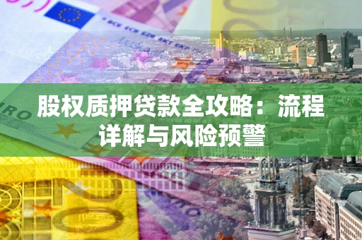武汉股权质押贷款全攻略：流程详解与风险预警