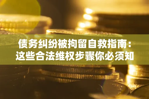 武汉债务纠纷被拘留自救指南：这些合法维权步骤你必须知道！