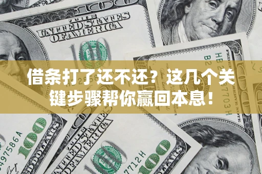 武汉借条打了还不还？这几个关键步骤帮你赢回本息！