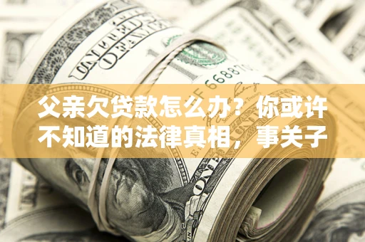 武汉父亲欠贷款怎么办？你或许不知道的法律真相，事关子女未来