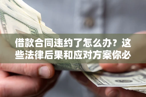 武汉借款合同违约了怎么办？这些法律后果和应对方案你必须知道