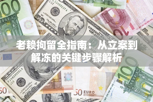 武汉老赖拘留全指南：从立案到解冻的关键步骤解析