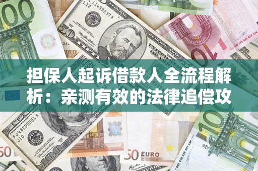 武汉担保人起诉借款人全流程解析：亲测有效的法律追偿攻略