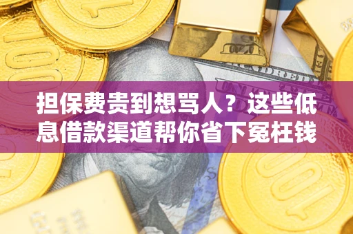 武汉担保费贵到想骂人？这些低息借款渠道帮你省下冤枉钱