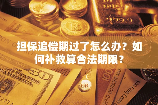 武汉担保追偿期过了怎么办？如何补救算合法期限？