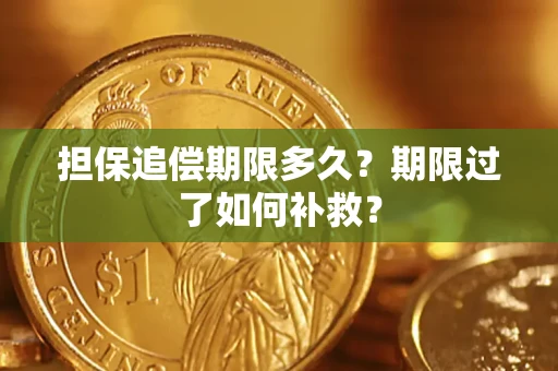 武汉担保追偿期限多久？期限过了如何补救？