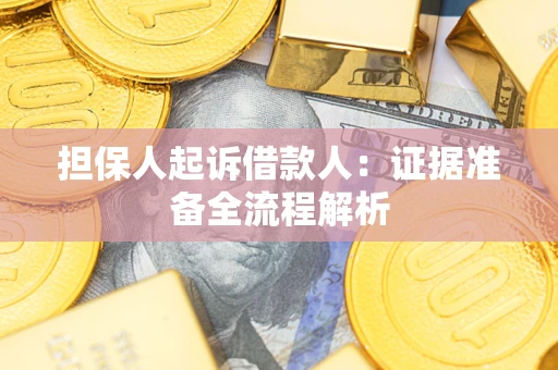 武汉担保人起诉借款人：证据准备全流程解析
