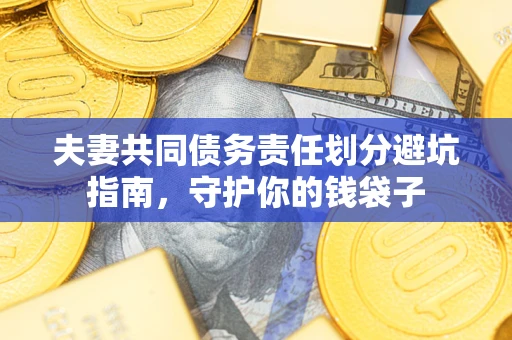 武汉夫妻共同债务责任划分避坑指南，守护你的钱袋子
