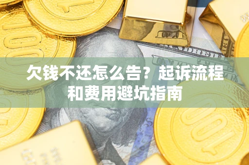 武汉欠钱不还怎么告?起诉流程和费用避坑指南 武汉欠钱不还怎么告?起诉流程和费用避坑指南
