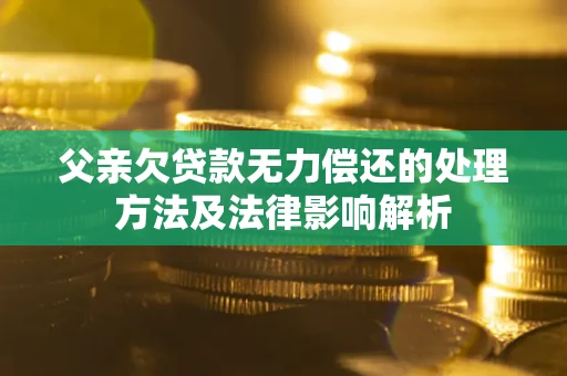 武汉父亲欠贷款无力偿还的处理方法及法律影响解析