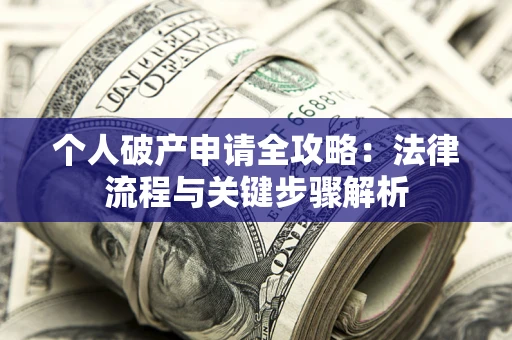 武汉个人破产申请全攻略：法律流程与关键步骤解析