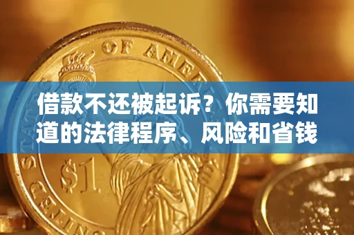 武汉借款不还被起诉？你需要知道的法律程序、风险和省钱技巧